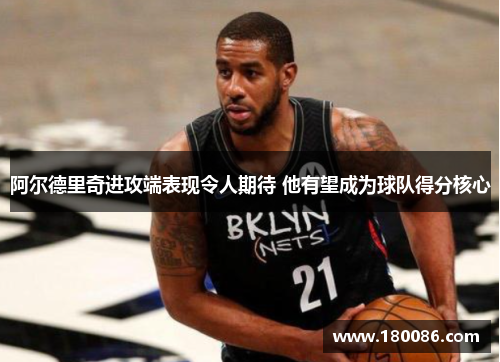 阿尔德里奇进攻端表现令人期待 他有望成为球队得分核心