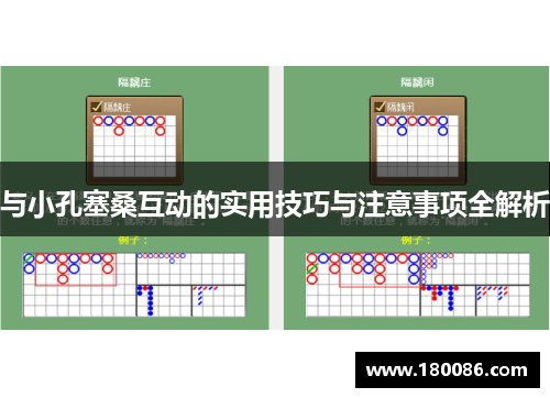 与小孔塞桑互动的实用技巧与注意事项全解析