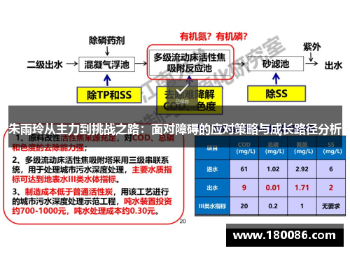 朱雨玲从主力到挑战之路：面对障碍的应对策略与成长路径分析